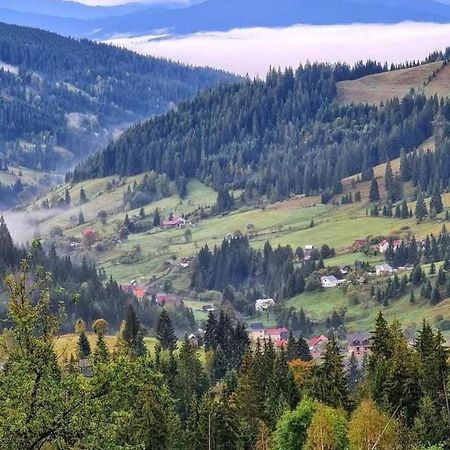 Pensiunea Casa Fierarul din Bucovina Vatra Moldoviţei Exterior foto