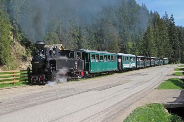 Pensiunea Casa Fierarul din Bucovina Vatra Moldoviţei Exterior foto