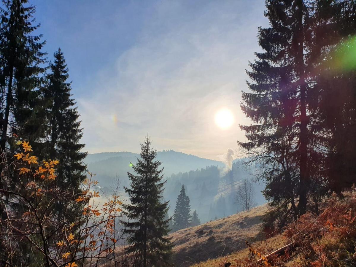 Pensiunea Casa Fierarul din Bucovina Vatra Moldoviţei Exterior foto