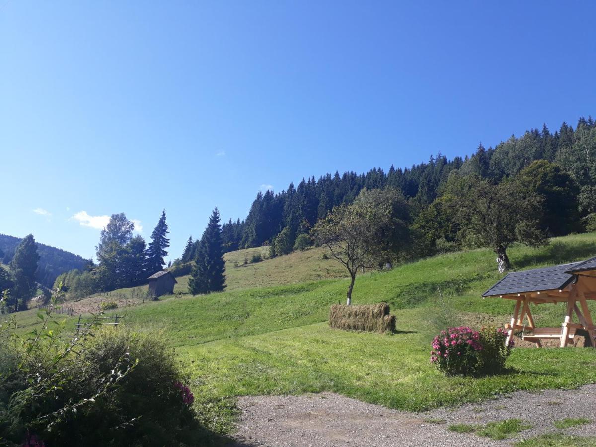 Pensiunea Casa Fierarul din Bucovina Vatra Moldoviţei Exterior foto