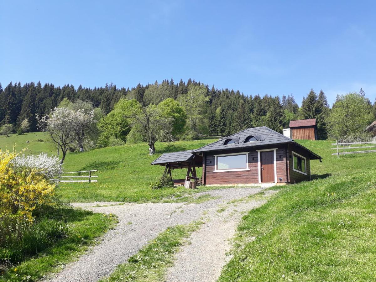 Pensiunea Casa Fierarul din Bucovina Vatra Moldoviţei Exterior foto