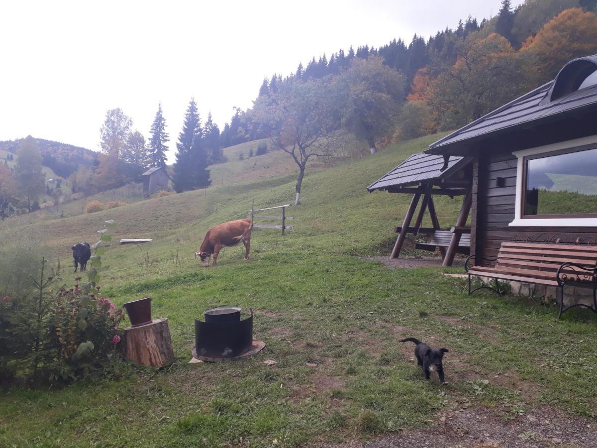 Pensiunea Casa Fierarul din Bucovina Vatra Moldoviţei Exterior foto