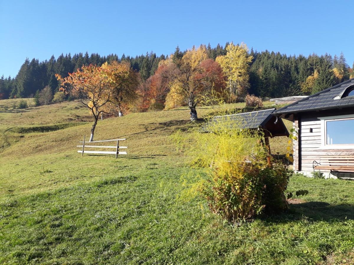 Pensiunea Casa Fierarul din Bucovina Vatra Moldoviţei Exterior foto