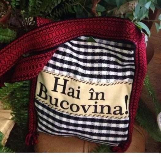 Pensiunea Casa Fierarul din Bucovina Vatra Moldoviţei Exterior foto