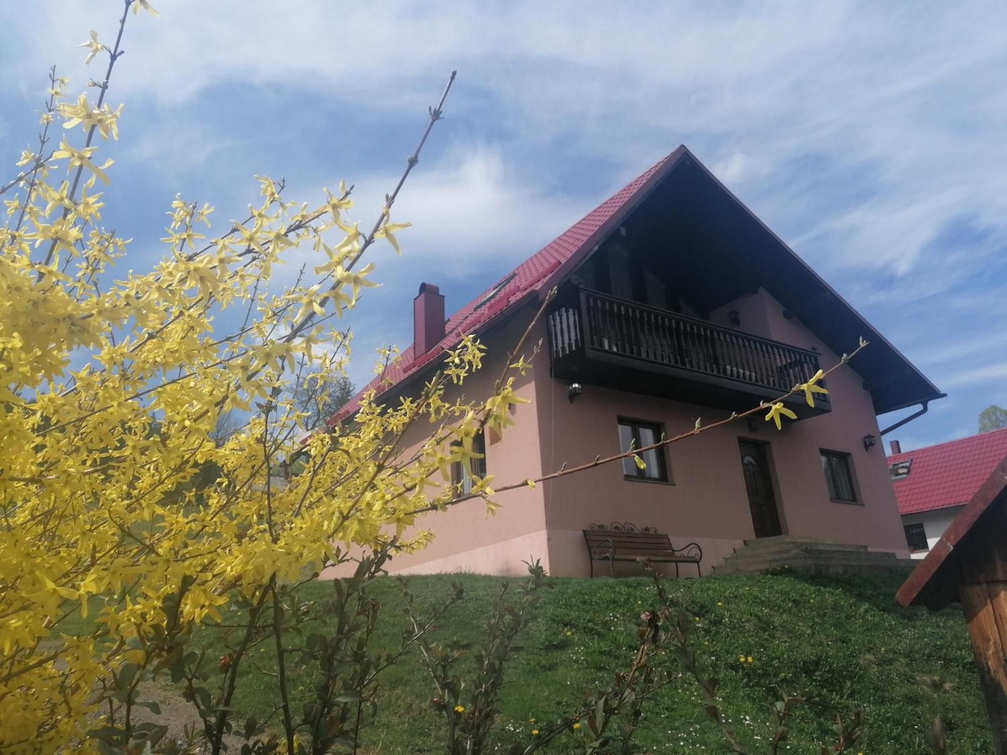 Pensiunea Casa Fierarul din Bucovina Vatra Moldoviţei Cameră foto