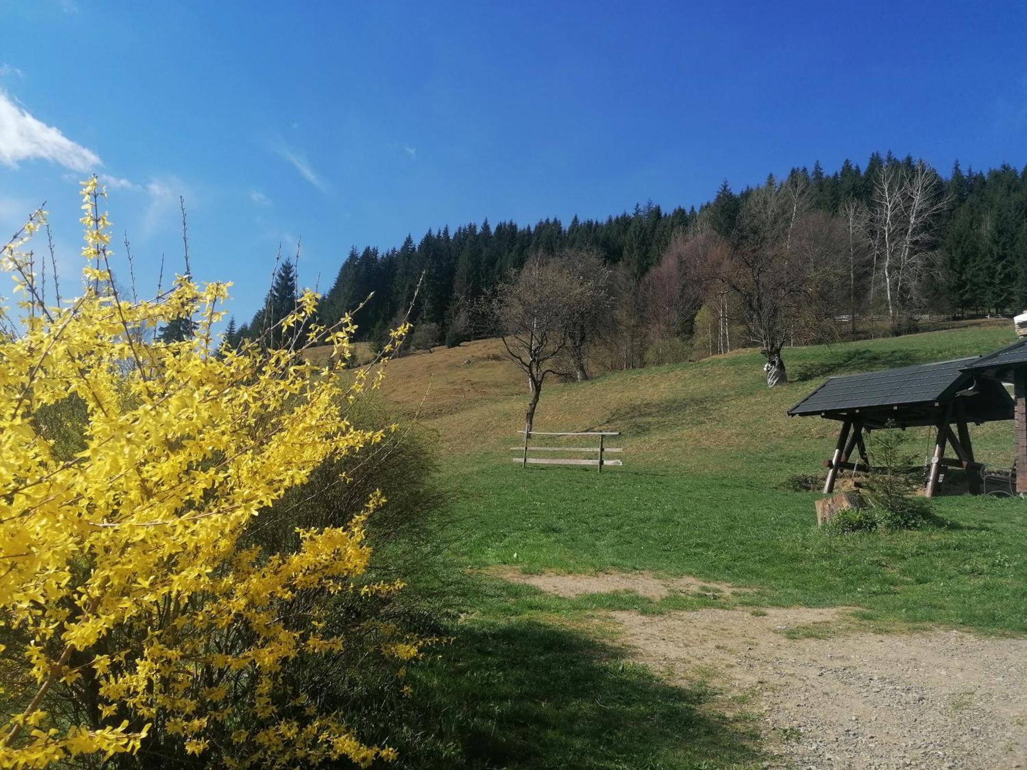 Pensiunea Casa Fierarul din Bucovina Vatra Moldoviţei Cameră foto